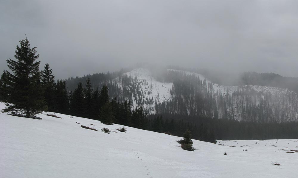 Stierhaltkogel